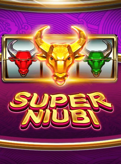 cvb999